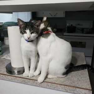 Meet your Posher, Maureen